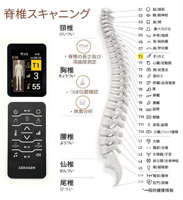 脊椎スキャニング