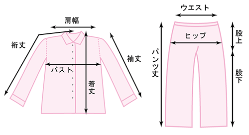 サイズ