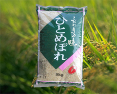 5kgタイプ(5kg・1袋)
