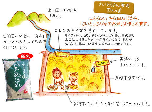 さいとうさん家の田んぼ