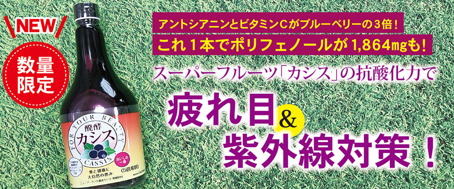 数量限定】醗酵カシス（565ml）5倍希釈 【ジャフマック】 | いやしの村わくわくショップ