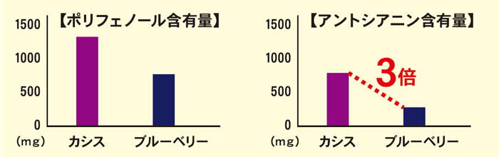 カシスにはたくさんのポリフェノールが含まれており、中でも目に良いとされてる「アントシアニン」がブルーベリーの3倍含まれています。