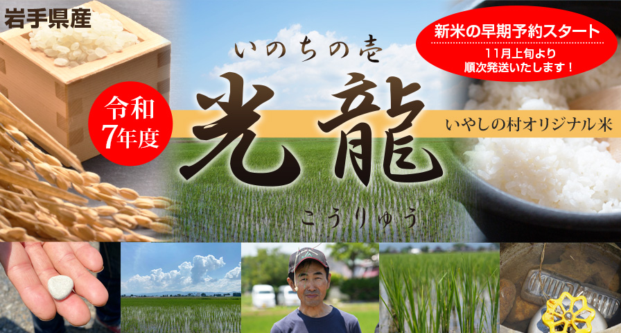 令和7年度 岩手県産いのちの壱 いやしの村オリジナル米「光龍（こうりゅう）」新米早期予約
