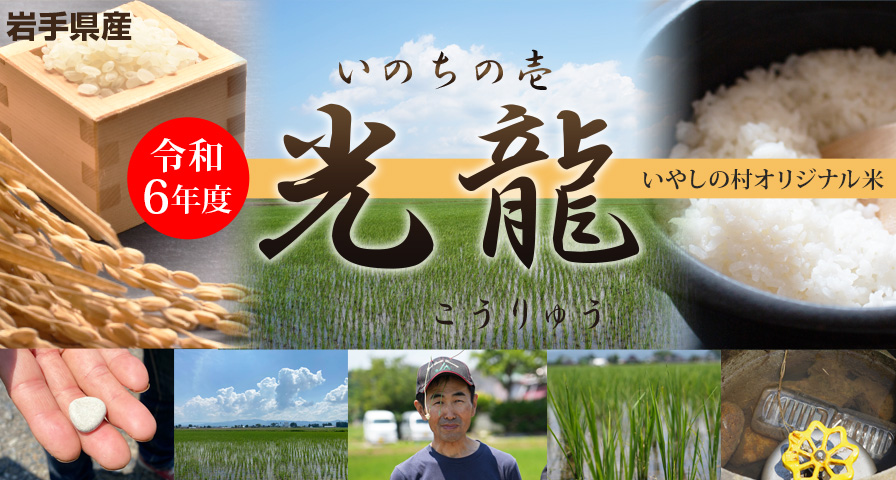 岩手県産いのちの壱 令和6年度「光龍」いやしの村オリジナル米