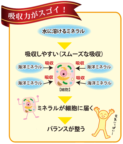 わくわく定期便 ポイント3倍 奇跡の水 ミラクルアクア 2l 6本 いやしの村わくわくショップ