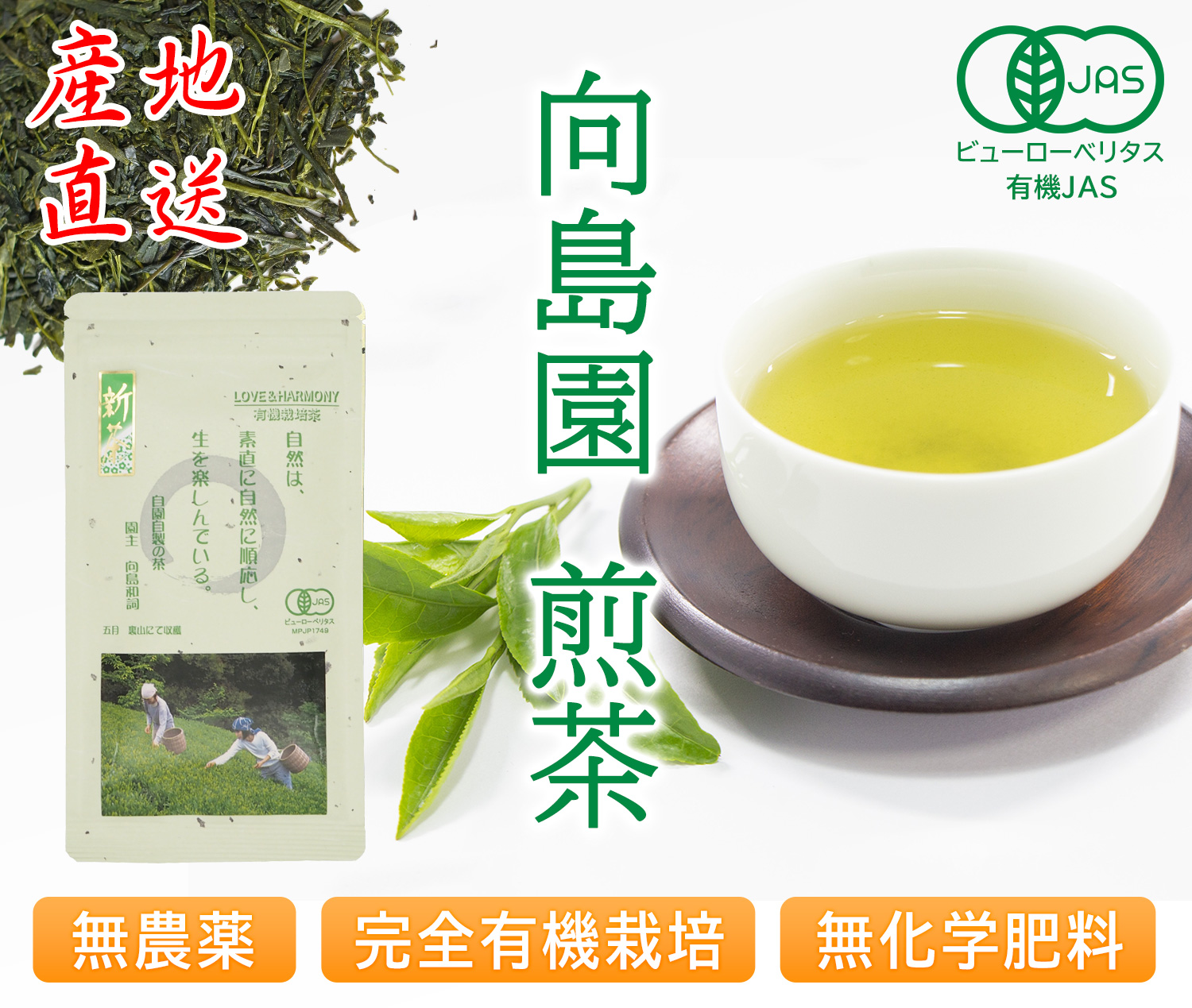 向島園煎茶