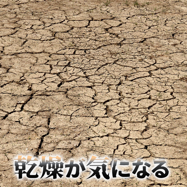 乾燥が気になる