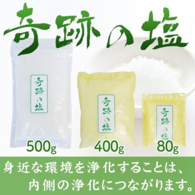交換用電極カートリッジ【ゴッドクリーナー・ゴールド用】【送料